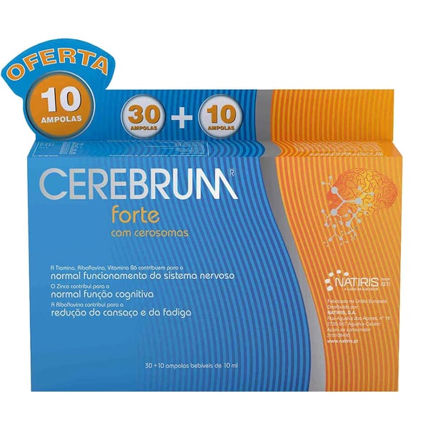 cerebum.webp