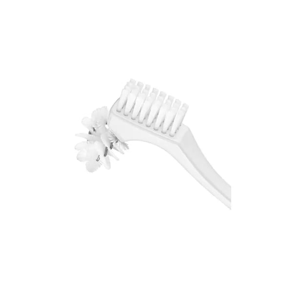 escova-para-limpeza-de-dentaduras-1.jpg