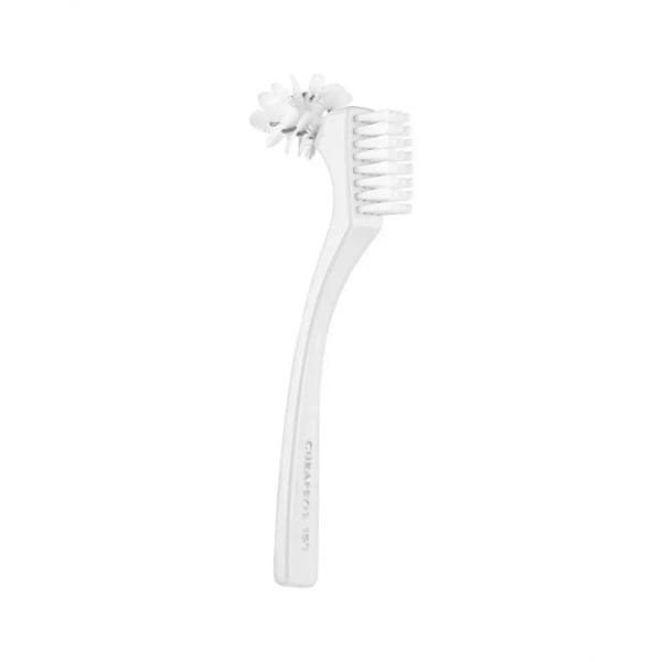 escova-para-limpeza-de-dentaduras.jpg