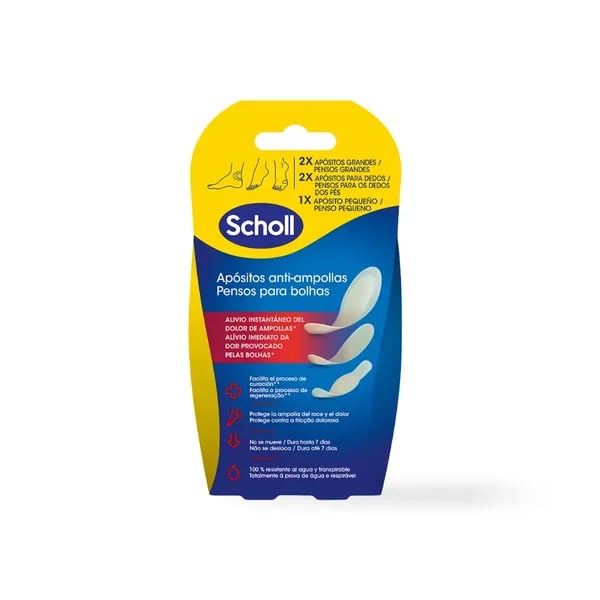 SCHOLL SORTIDO PENSOS BOLHAS 5 UNIDADES